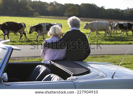 Senior couple in sports car enjoying day outside