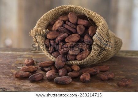 cacao bean in hessian bag