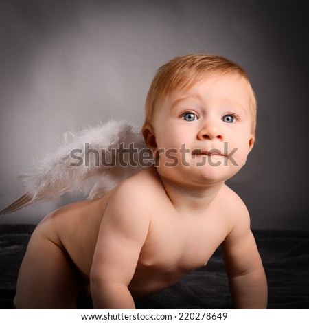 isolated studio portrait on grey background of little angel lovely toddler baby boy with angel\'s wings