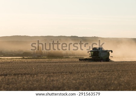 combine harvester agriculture machine harvesting golden ripe wheat field at sunset