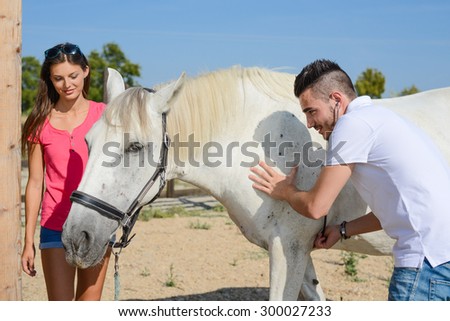 handsome young man veterinary taking care of beautiful white and gray camargue horse