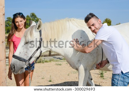 handsome young man veterinary taking care of beautiful white and gray camargue horse