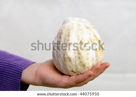 Fruit pamelo without peeling  on palm on white background