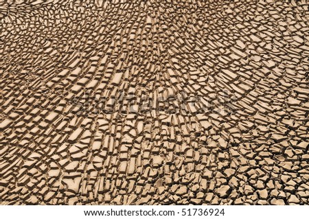 arid; soil; ground; earth; earth; crazing; interstice; shrinkage; cracking; ornament; pattern; nature