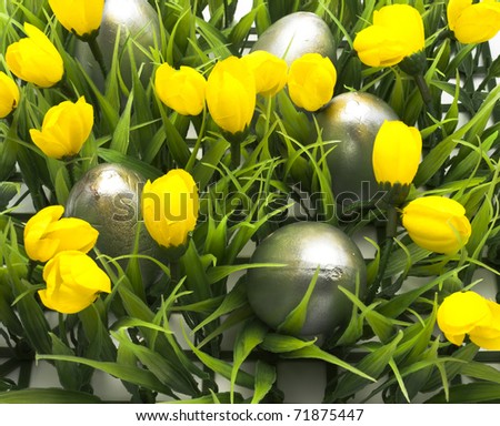 easter eggs, hidden in the grass