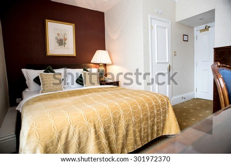Decorated master spacious luxury bedroom