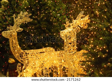 christmas decoration yard. Decorate your front yard, back yard, 