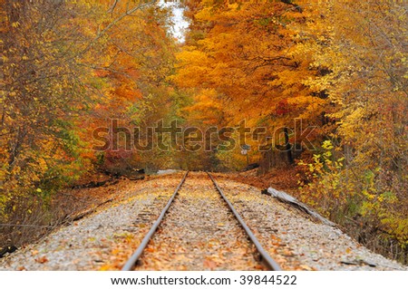 An stretch of old railroad track running through a brilliant autumn wood