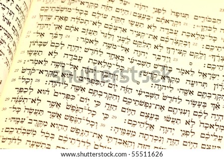 Hebrew Bible passage for Rosh Hashana, with the pertinent section,Leviticus 23:23-26, in sharpest focus