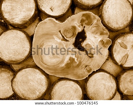 closeup of sawed pine and cypress wood, duo-tone image