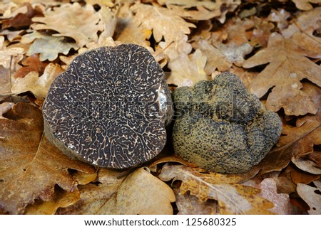 sliced black truffle on oak leaves