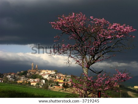 a village in the italian countryside after a spring storm