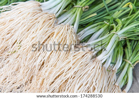 freshly harvested spring onions, Bunch of spring onions