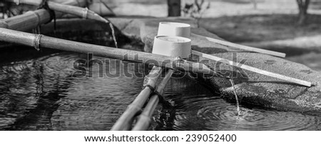 Traditional Japanese bamboo fountain dripping water with ripples in a basin, Black and white toned