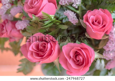 beautiful pink rose bouquet on bright pink