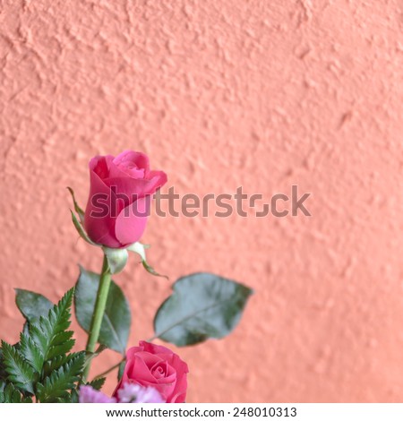 Beautiful Pink Roses.Vintage Styled