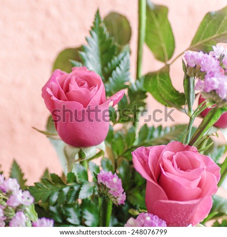 beautiful pink rose bouquet on bright pink