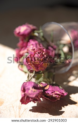 dried rose flower with dried leafs, Vintage Style