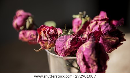 dried rose flower with dried leafs, Withered rose in a vase