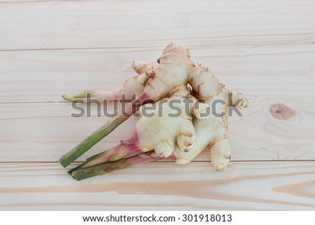 young ginger, young ginger root with shoots, ginger with shoots