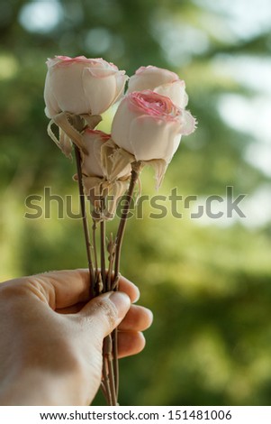 men hand with roses. vertical shot. outdoors.
