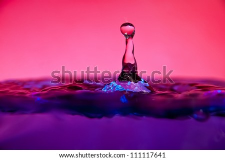 Image showing when a drop of water hits the surface, forming a small fountain. Blue purple water with red rose background. Copyspace