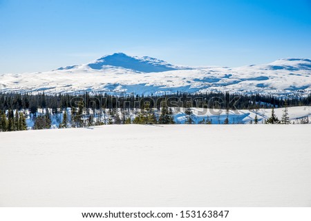 winter picture on bare mountain, trees and a lot of snow in a unspoiled nature