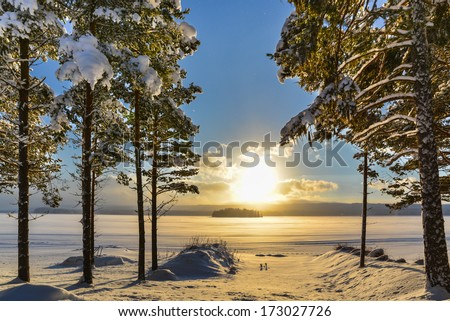 Beautiful winter picture from Sweden over a lake with pine trees in the foreground