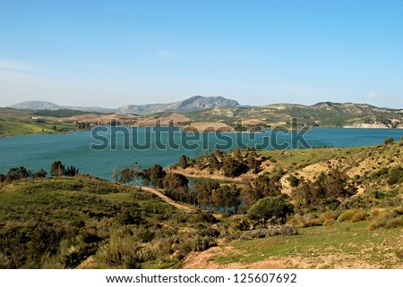 Guadalteba lake, near Ardales, Malaga Province, Andalusia, Spain, Western Europe.