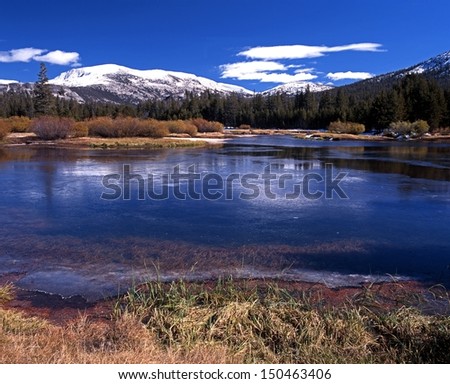 Dana Fork River with snow capped mountains to the rear, Yosemite National Park, California, USA