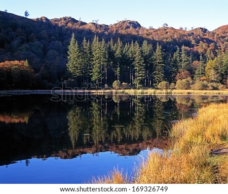 Reflections in small lake, Near Hawkeshead, Lake District, Cumbria, England, UK, Western Europe.