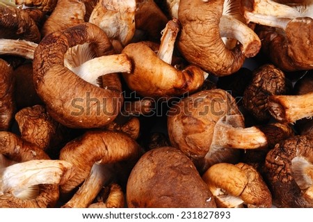 Raw Shiitake mushrooms food background.
