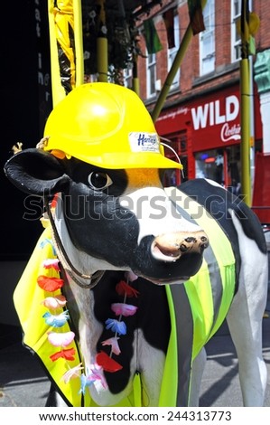 NOTTINGHAM, UNITED KINGDOM - JULY 17, 2014 - Cow statue dressed in safety gear including a hard hat, Nottingham, Nottinghamshire, England, UK, Western Europe, July 17, 2014.