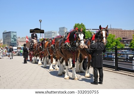 LIVERPOOL, UK - JUNE 11, 2015 - Shire horses and carriage promoting Liverpool International Horse Show by Kings Dock, Liverpool, Merseyside, England, UK, June 11, 2015.