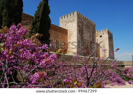 Cistern Court (Plaza de los Aljibes), East side of the castle with pink tree blossom in foreground, Palace of Alhambra, Granada, Granada Province, Andalusia, Spain, Western Europe.