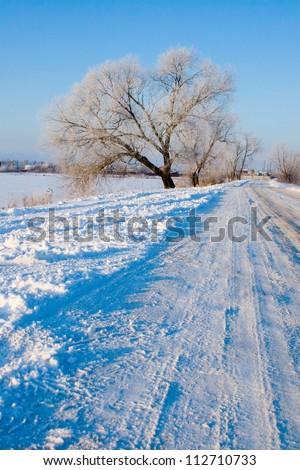 Beautiful winter landscape. Trees in the frost on the road