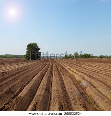 Beautiful spring landscape with arable land