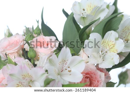Bouquet of pink and white flowers on a white background