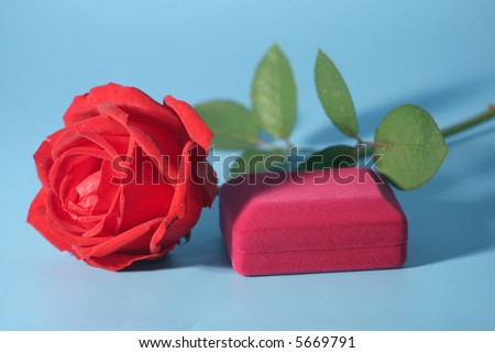 Red rose and velvet box for jewelry on a blue background.