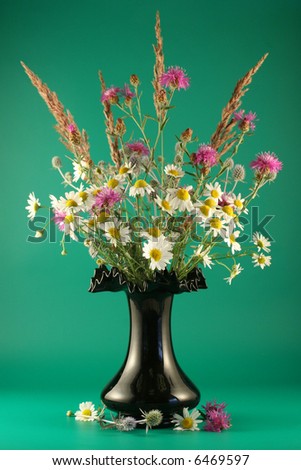 Vase with bouquets of field flowers on a green background.