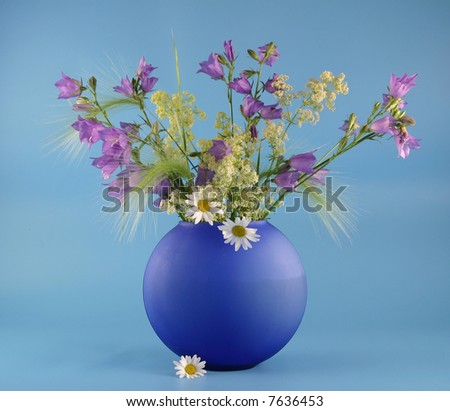 Vase with bouquets of field flowers  on a blue  background.