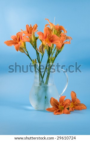 Bouquet of day-lily flowers on a blue  background