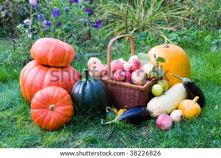 Ripe fruits and vegetables on the green grass