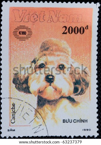 VIETNAM - CIRCA 1990: A stamp printed by Cuba shows the Dog Poodle, stamp is from the series, circa 1990