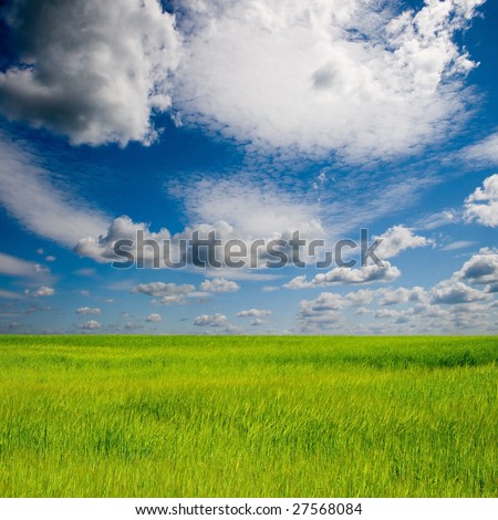 beautiful summer landscape with green grass and blue sky stock photo