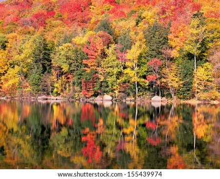 New England Autumn Trees Reflection