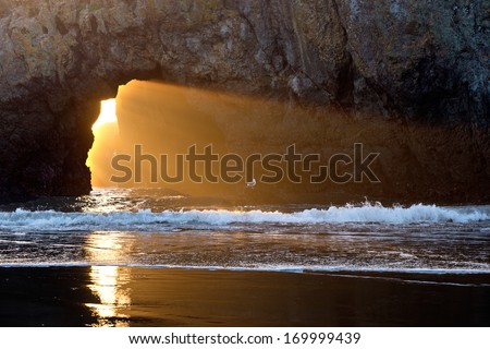 Sun Light Streaming Through Ocean Rock with Waves and Seagull