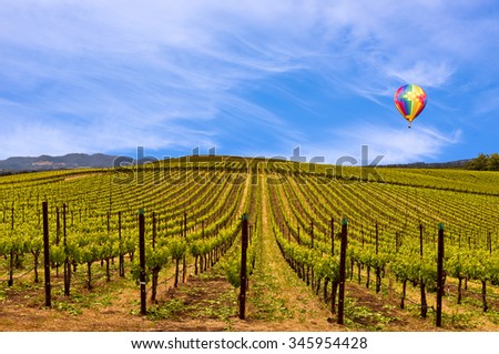 Wine Vineyards, Spring, Sky and Hot Air Balloon