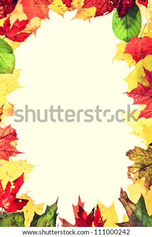 Autumn leaves frame.  Real leaves forming a frame. Retro vintage style photo.