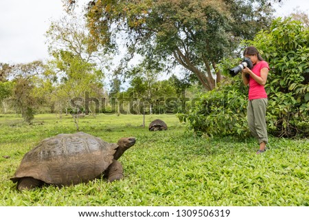 Galapagos Giant Tortoise and woman tourist photographer on Santa Cruz Island in Galapagos Islands. Animals, nature and wildlife photo of tortoise in the highlands of Galapagos, Ecuador, South America.